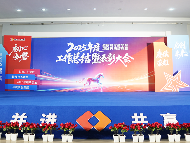砥砺前行谱华章，继往开来铸辉煌—征途国际公司召开2025年度工作总结暨表彰大会！
